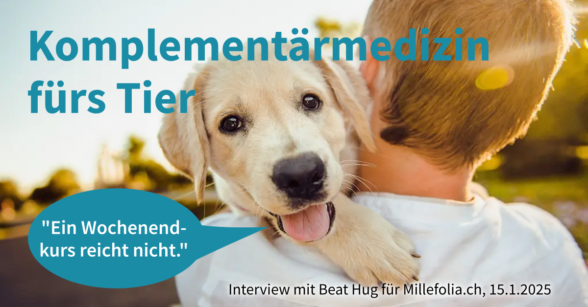 Komplementärmedizin fürs Tier: "Ein Wochenendkurs reicht nicht". Interview mit Beat Hug von Tanya Karrer für Millefolia.ch
