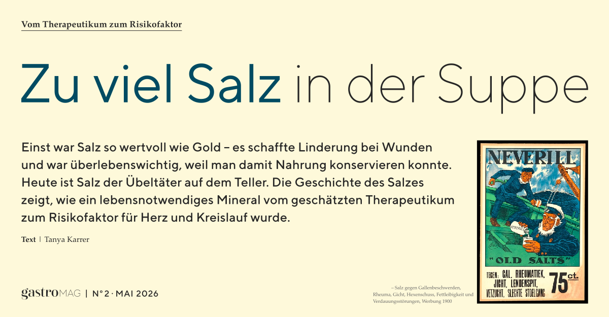 Zuviel Salz in der Suppe. Vom Therapeutikum zum Risikofaktor. Artikel von Tanya Karrer für medEdition GastroMag 2026